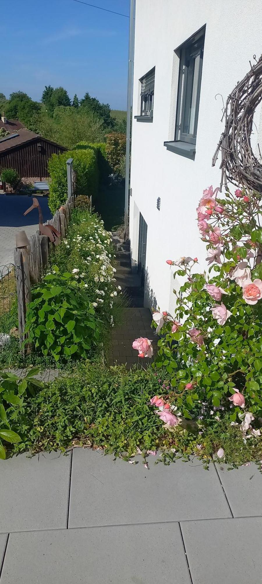 Ferienwohnung Rebgaertle Britzingen Esterno foto