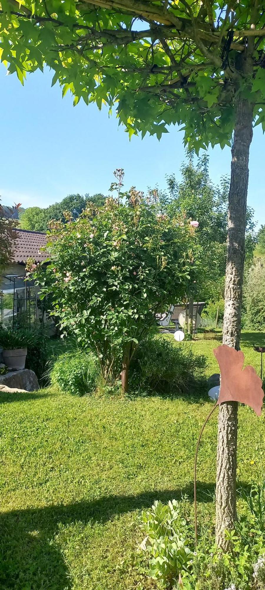 Ferienwohnung Rebgaertle Britzingen Esterno foto